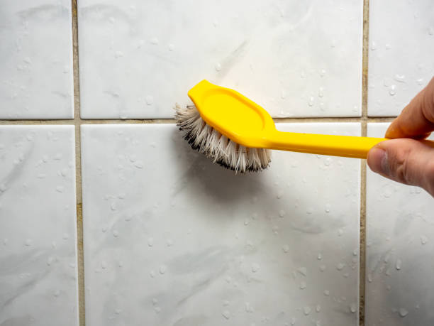 Professional Mold Remediation in East Peoria, IL