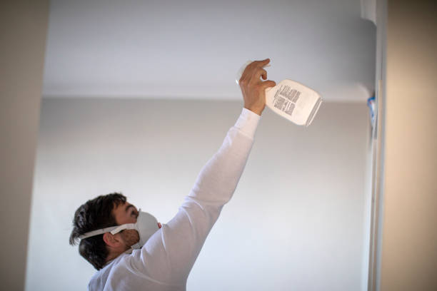 Best Residential Mold Remediation in East Peoria, IL